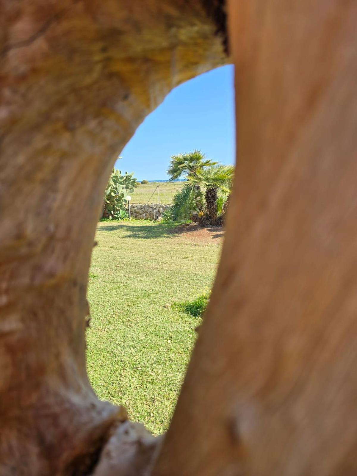 B&B Casa Cavarra Portopalo Di Capo Passero Exteriör bild